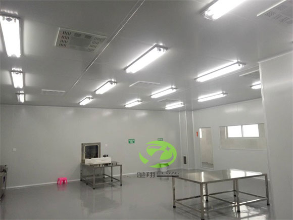 郴州福鵝食品午夜福利大全車間裝修工程(圖4)